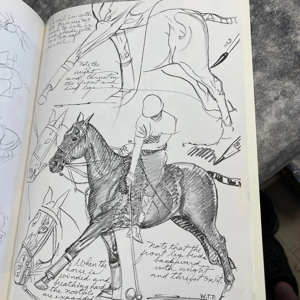 How to Draw Horses Art‎ Instruction Book White Sketch Walter Foster